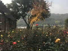 -龙寺生态园
