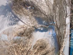 -贝林大翅鲸简餐厅(国家海洋博物馆店)