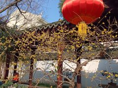 -上海醉白池公园