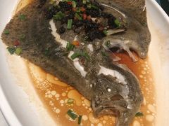 -大树餐厅(益田假日店)