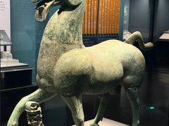 -广西壮族自治区博物馆