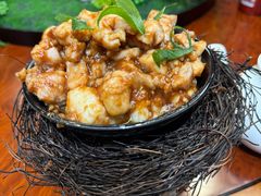 -丁老爷子苏香圆