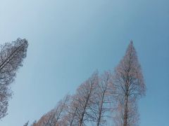 -平湖九龙山乐满地水上乐园