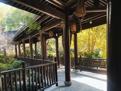 -长田漾湿地公园