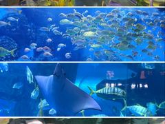 -泉城欧乐堡海洋极地世界