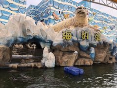 -华夏文旅海洋公园