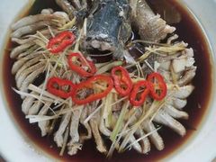 -煲来饱去冷水鱼