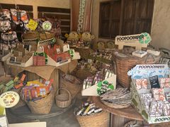 -大象粑粑造纸公园