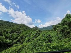 -呀诺达热带雨林