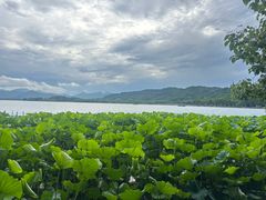 -湖畔居茶楼(湖滨店)