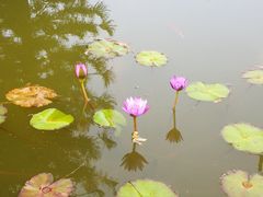 -永记生态园