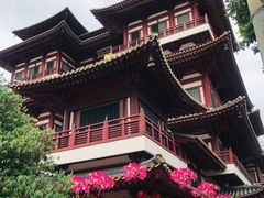 -新加坡佛牙寺龙华院