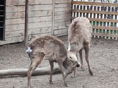 -安德鲁户外烧烤帐篷营地(马泉营店)