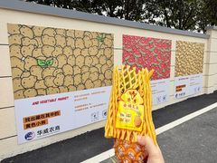 -华威西营里农产品批发市场