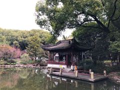 -汇龙潭