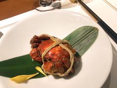 -觀芷隐轩
