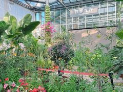 -国家植物园南园