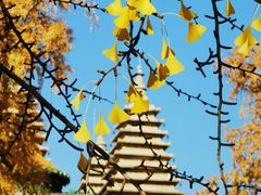 -北京石刻艺术博物馆(五塔寺)
