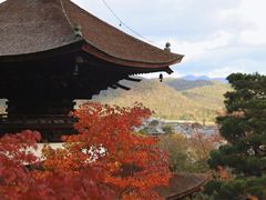 -常寂光寺