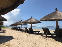 -三亚湾海居铂尔曼度假酒店