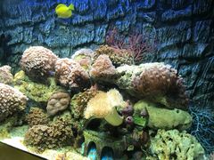 -北戴河圣蓝海洋公园