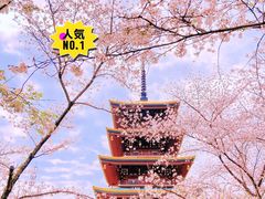 景点-东湖生态旅游风景区
