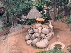 -广州长隆野生动物世界