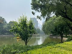 -团结湖公园