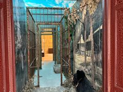 -北京动物园-畅观楼