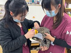 -美联众合动物医院·24h京西诊疗中心