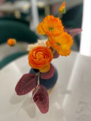 包房-Lily纤美·科技减脂中心