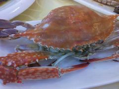 android_upload_pic-海岛渔村大酒店(云霄路店)