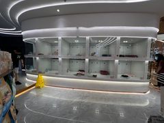 -1013 PET SHOP精品宠物商店(丁香店)