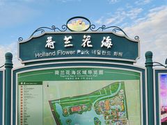 -荷兰花海