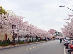 -宝山第一中心小学