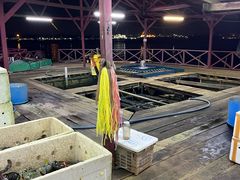 -旗鱼海番村(Orang Asli)