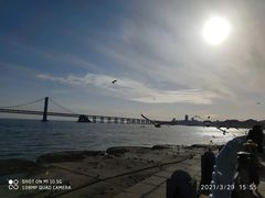 -星海湾跨海大桥