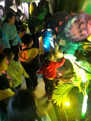 -恐龙探索乐园(磁器口店)