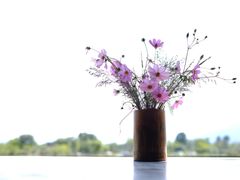 -翠田Green Field Kitchen