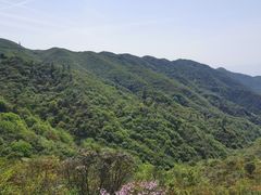 -大围山国家森林公园