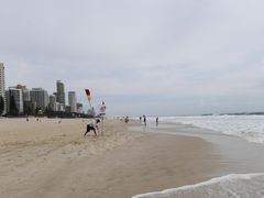 -黄金海岸