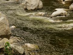 -黑河国家森林公园