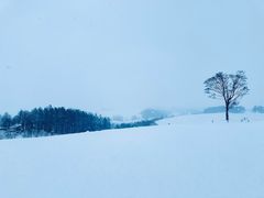 -青池