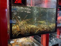 -粤界(望京金辉店)