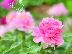 -陕西省西安植物园