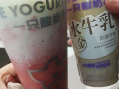 -一只酸奶牛(时代天街A馆店)