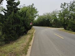-日照海滨国家森林公园