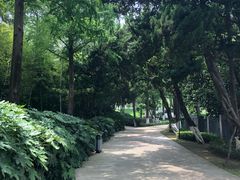 -菊花台公园