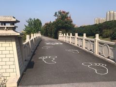 -菊园百果园