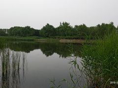 -永定河休闲森林公园